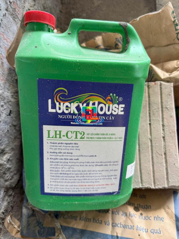 Giải pháp chống thấm, chống nấm mốc tối ưu cho nhà ở miền Bắc 1 chống thấm