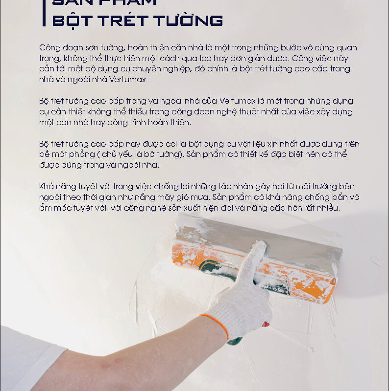 BỘT TRÉT TƯỜNG CAO CẤP VERTUMAX – D303 & D305