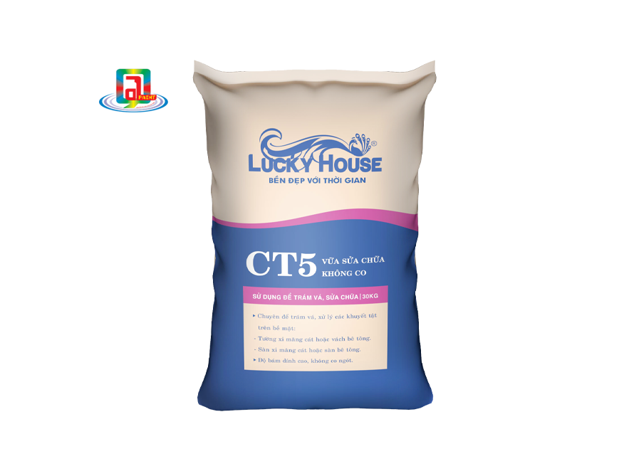 LUCKY HOUSE - CT5 - Vữa sửa chữa không co 1 box san pham ct5